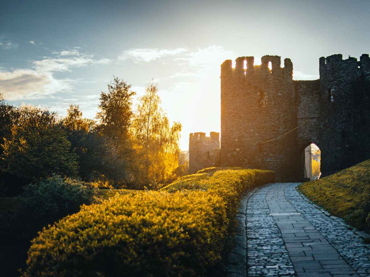 開會通知-第一屆第三次會員大會